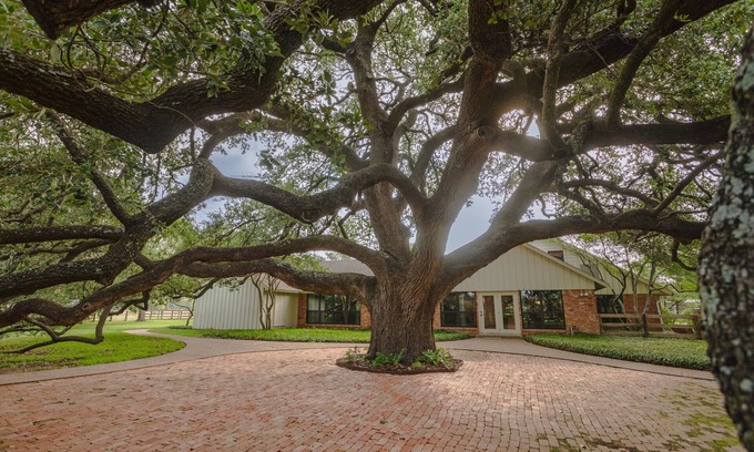Waco House | Oak Tree Manor w/Pool