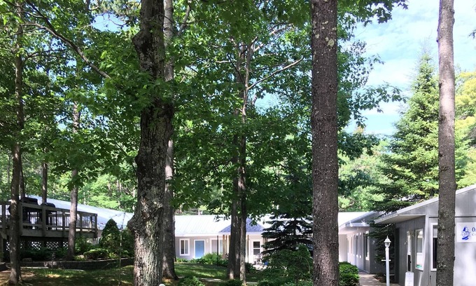 Beaver Island Condo | Oak Woods Lodge Unit 7. Quiet setting in the woods, but close to town.