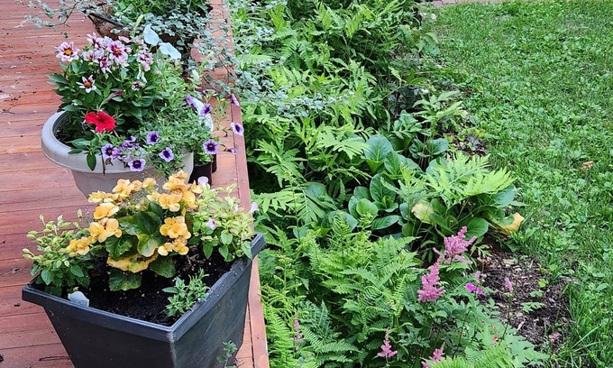 Menomonie Bed & Breakfast | Oaklawn Inn LLC
