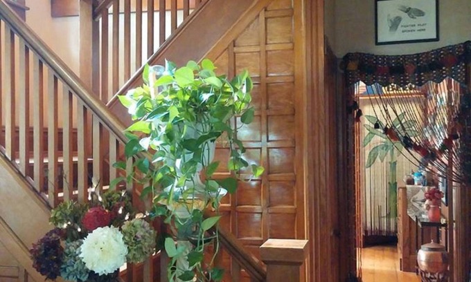Springville Bed & Breakfast | Oasis Bed and Breakfast