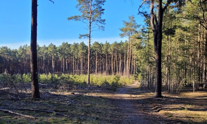 Baruth/Mark Apartment | Oasis of peace Waldblick