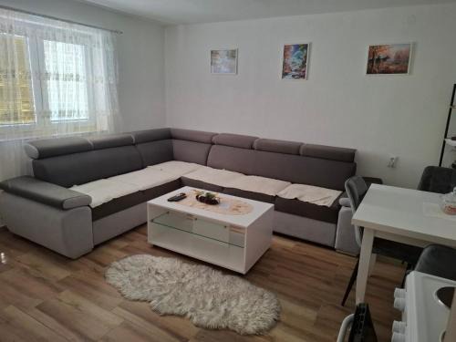 Pluzine Apartment | Oaza Apartment Goransko Plužine