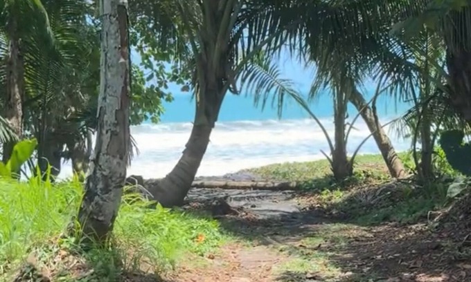 Puerto Viejo de Talamanca House | Oceanfront Beach House, Reconnect, RELAX, Modern Comfort, Wifi, A/C, Pool