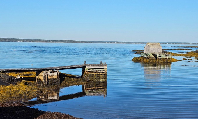 Blue Rocks House | Ocean Front Retreat - Morning coffee watching the BlueNose sail by.