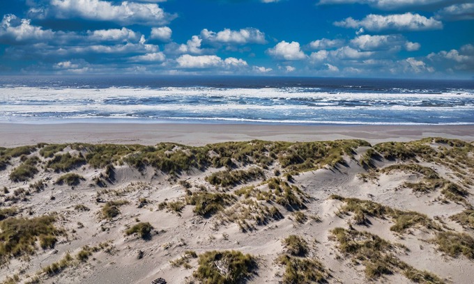 McKinleyville House | Ocean's Edge - Tropical Oceanview Oasis