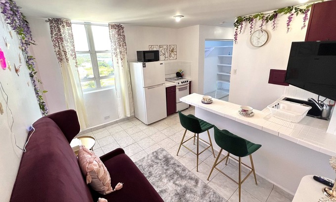 Isla Grande Apartment | ocean view 1BR near old san juan