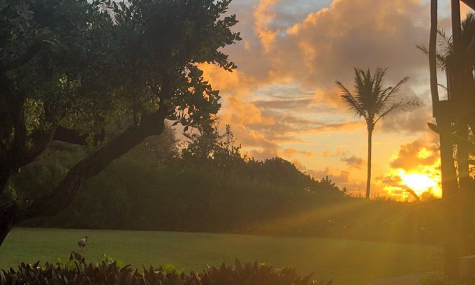 Lihue Condo | Ocean view 2 bedroom centrally located condo. Steps from the ocean!