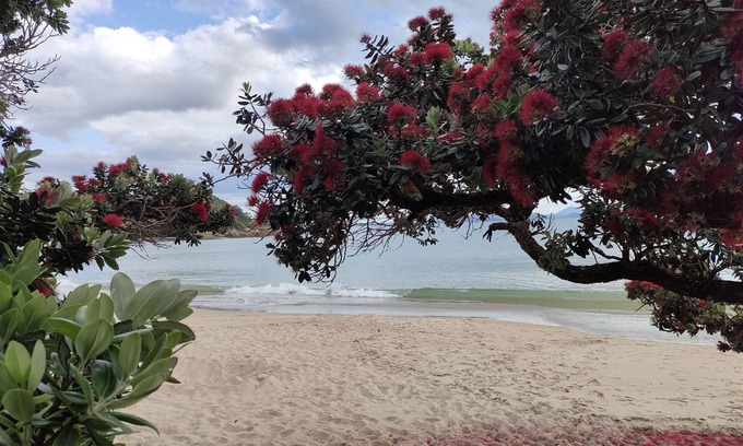Tutukaka Apartment | Ocean View At Whangaumu Bay.npeaceful Bush and bay Views, Privately Positioned