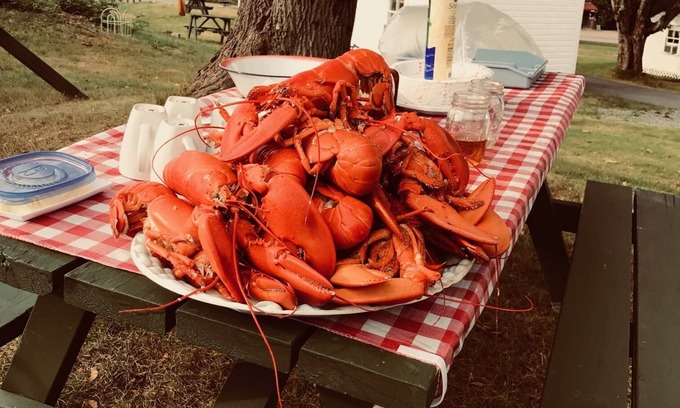 Salsbury Cove Cottage | Oceanfront Cottage at Acadia National Park, Bar Harbor/Piper Cottage