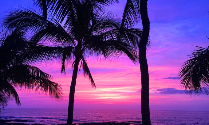 Kamuela House | OCEANFRONT! Cottage is located on a beautiful sandy beach!n