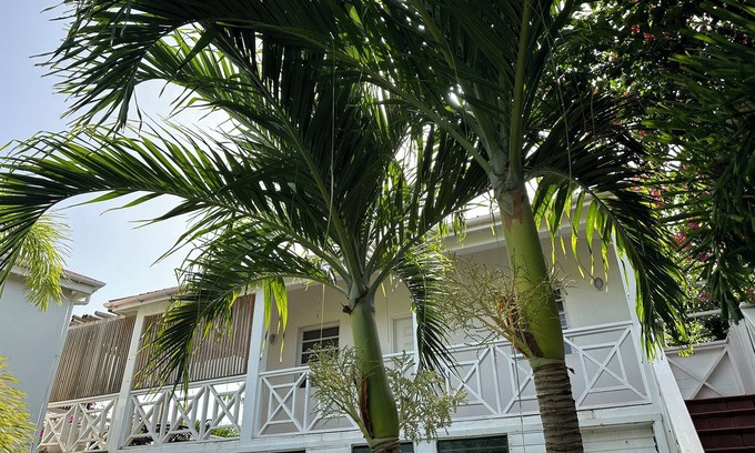 Dickenson Bay Apartment | Oceanfront Studio w/Amazing Views and Private Beach Access.