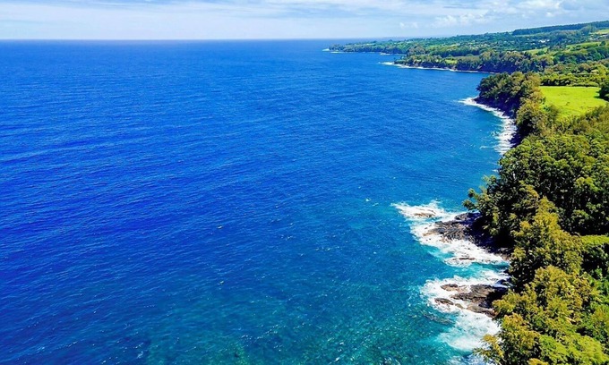 Hakalau House | Oceanfront "Treehouse" at Hakalau cliffs