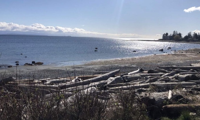 Campbell River Cottage | Oceanside Cottage