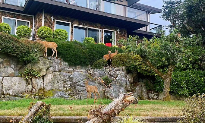 Regional District of Nanaimo House | Oceanview Guesthouse