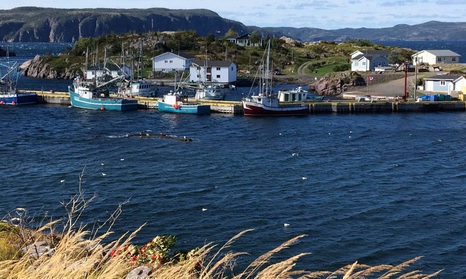 Southport House | Oceanview Southport Newfoundland!