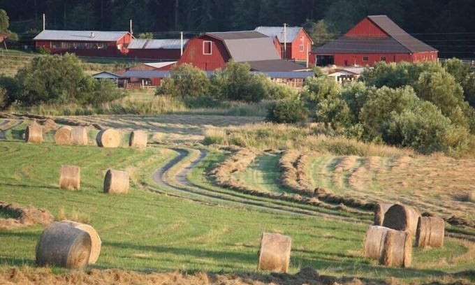 Friday Harbor House | October Farm Family Farm Stay