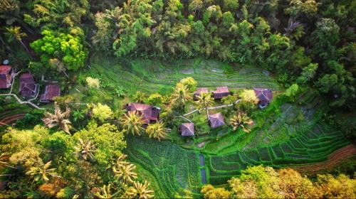 Wongaya Gede Cabin | Oemah Tepi Sawah