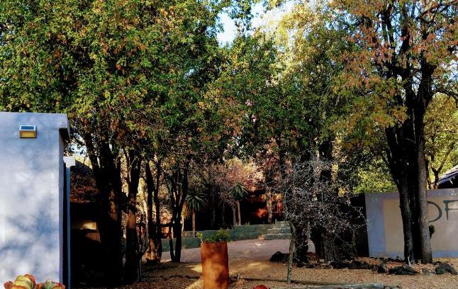 Hoedspruit Cabin | Off Beat Safaris Bush Lodge