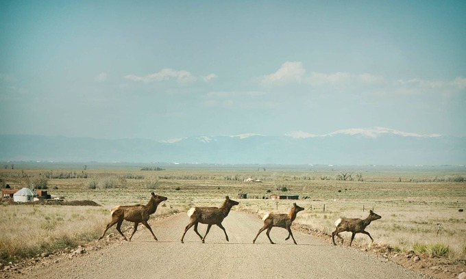 Crestone House | Off Grid at Baca Wildlife Refuge: Star Gazers Paradise