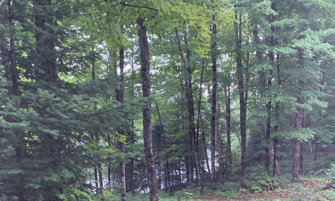 McDougall Cabin | Off grid, boat access fishing retreat.