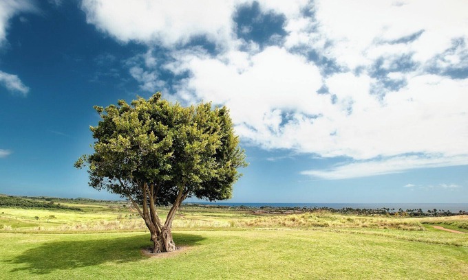 Eastlake Greens House | OFF HWY 125 IN CHULA VISTA’S EASTLAKE