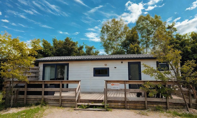 Oostkapelle House | OK30 Chalet in Oostkapelle with a dog