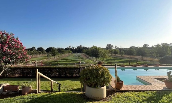 Villamanrique de la Condesa House | OLIVE GROVE OF GATOS FARM