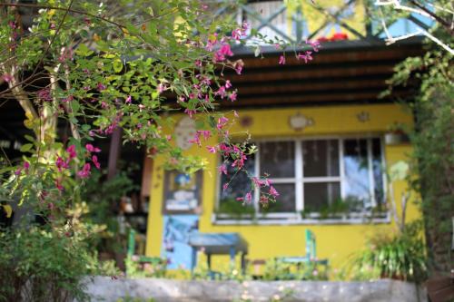 Zhudong House | Old Farmer Homestay