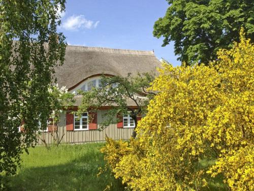 Wieck auf dem Darss House | Old shipman's house Comfortable holiday residence