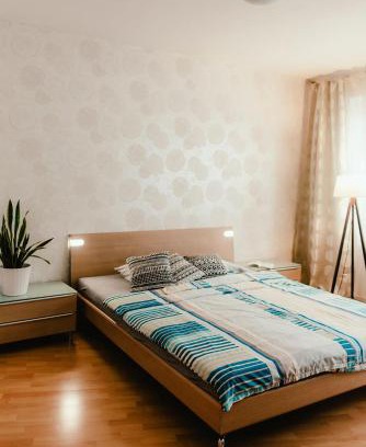 Brno-stred Apartment | Old Town Apartment Pellicova