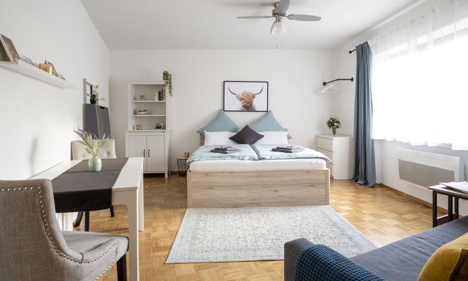 Wiesloch Apartment | Old Town Apartments | Parking | climate | kitchen | Sky subscription