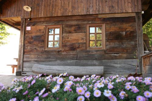 Brezice House | Oldhouse Knezovo