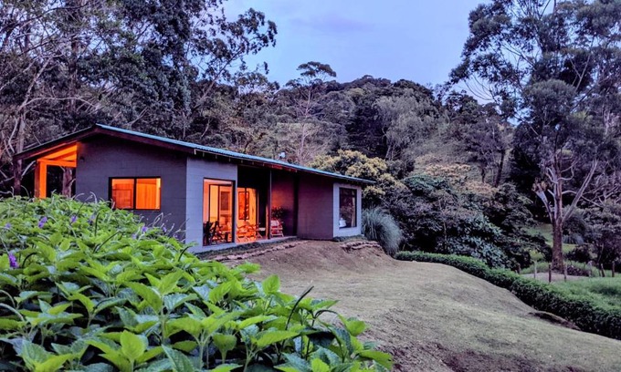 Quebrada Grande House | Olingo Monteverde