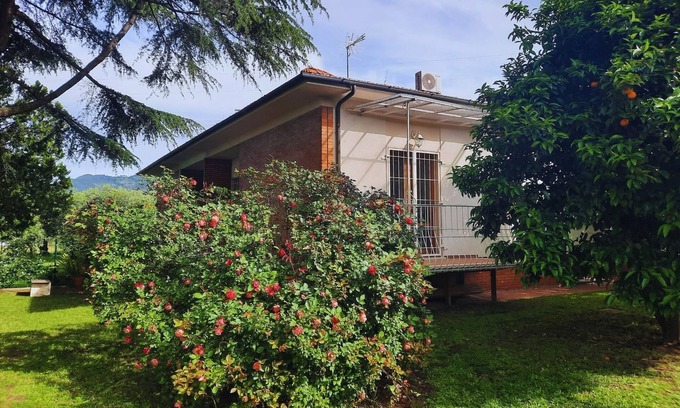 Ripa-Pozzi-Ponterosso House | Olive Grove Garden House With Mountain View Close to Forte dei Marmi
