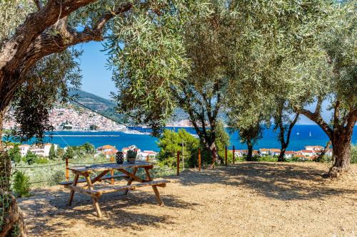 Skopelos Apartment | Olive Grove Apartment