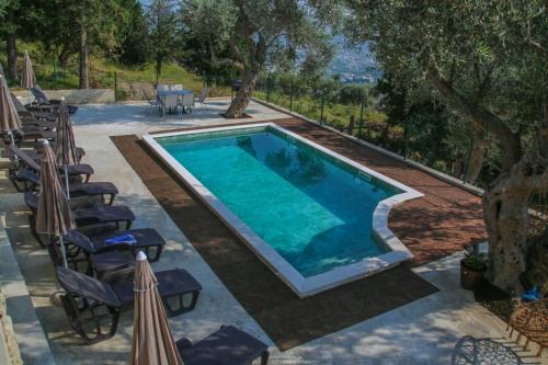 Bar Apartment | Olive Grove