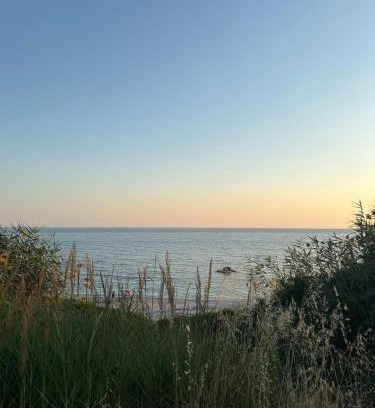 Zalongo House | Olive House Seaside