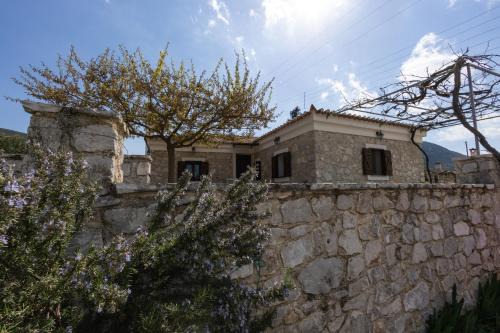 Ermionida Apartment | Olive Roots