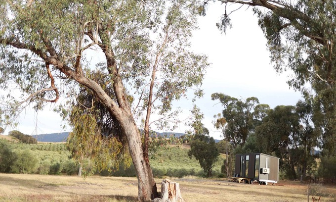 Taggerty House | Olive Sanctuary by Tiny Away