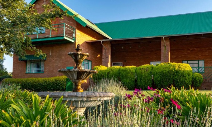Magaliesberg Bed & Breakfast | Olive Tree Farm