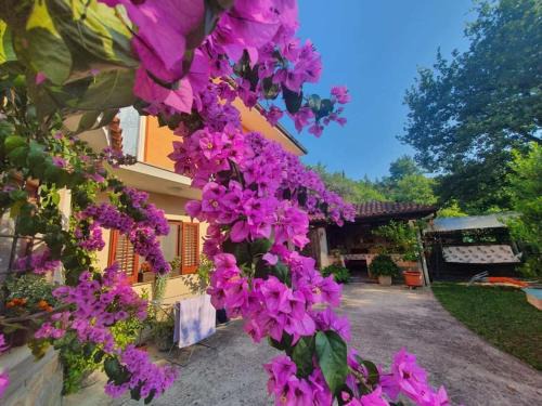 Izola Apartment | OLIVES HOUSE in Izola