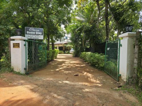 Anuradhapura House | Olivia HomeStay