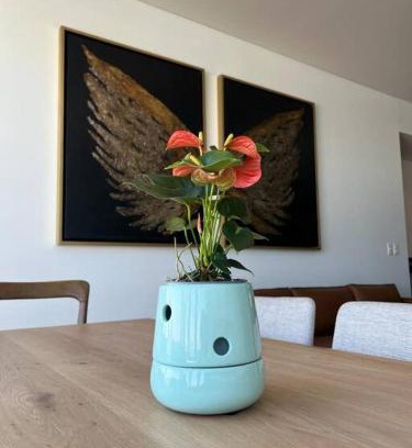 Coyoacan Apartment | Olivo Apartment HP - Sur