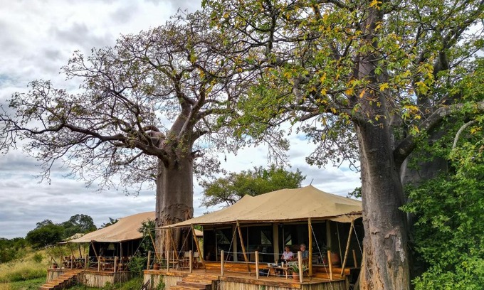 Tarangire National Park Other | Olkeri Camp