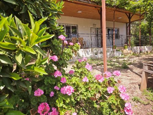 Olympos Villa | Olympos Orange Village Nature, Sea and You