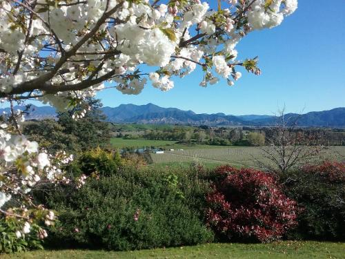 Hawkesbury Bed & Breakfast | Omaka Heights Countrystay