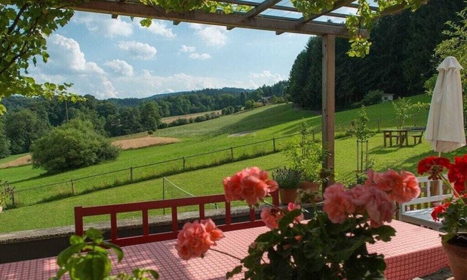 Nussdorf am Attersee House | One-bedroom apartment