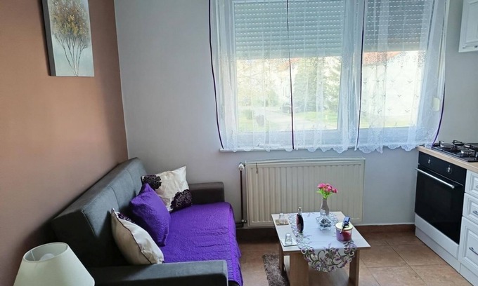 Vukovar Apartment | One bedroom apartment with air-conditioning Vukovar, Slavonija (A-24797-a)