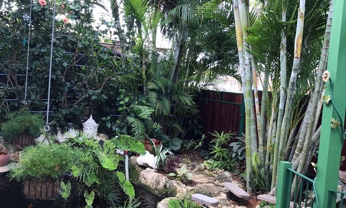 Marine Gardens Cottage | One bedroom self contained cottage