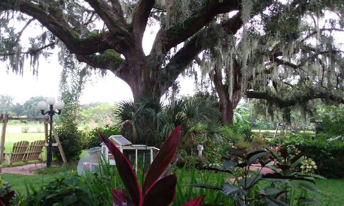 Plant City Cottage | One bedroom suite with one bedroom cottage in beautiful surroundings